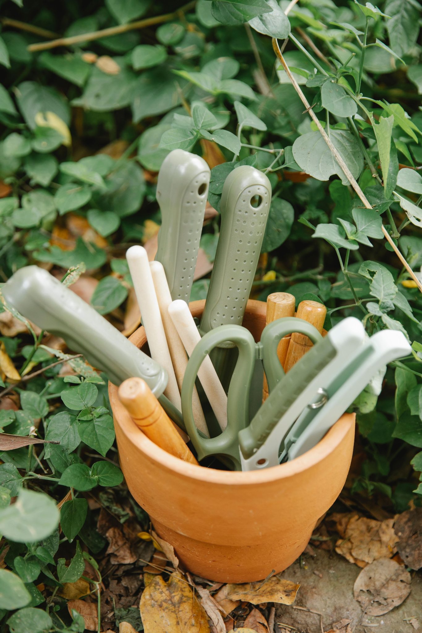Garden tools and Plants